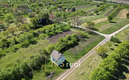 Prodej pole 2 997 m², Hroznová Lhota, okres Hodonín