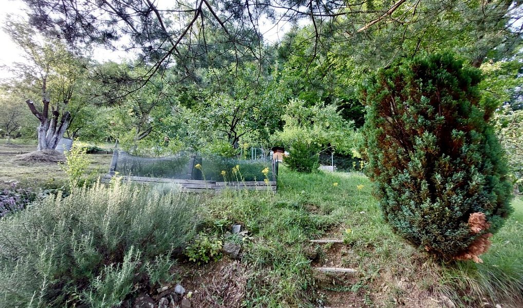 Prodej zahrady 514 m², Zlín – náhled fotky 8