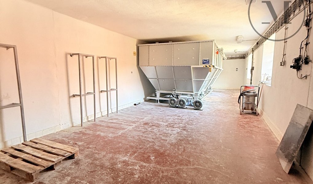Pronájem skladovacích prostor 30 m², Netolice – náhled fotky 2