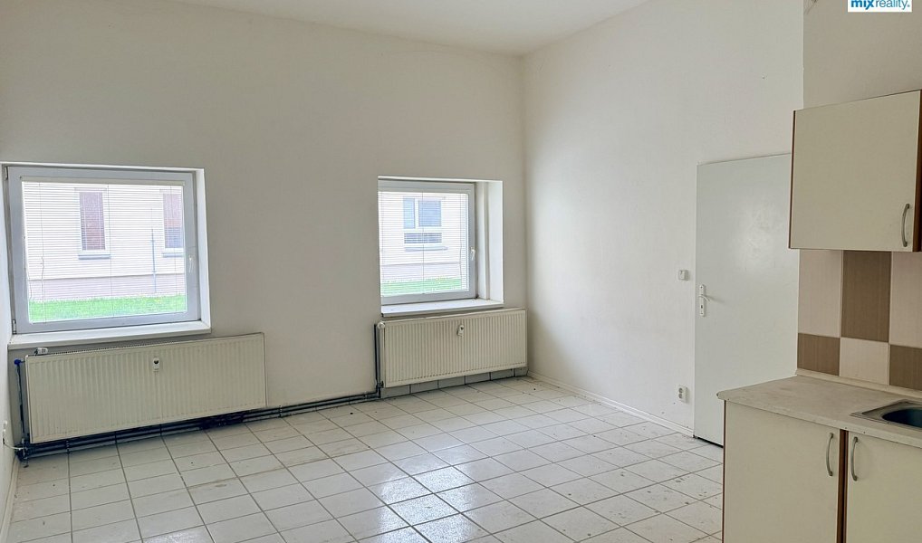 Prodej domu 397 m² s pozemkem 842 m², Heřmanova Huť – náhled fotky 9