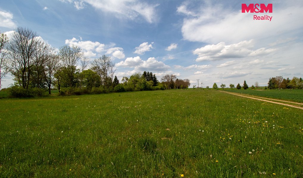 Prodej stavebního pozemku 8 048 m², Břežany – náhled fotky 12