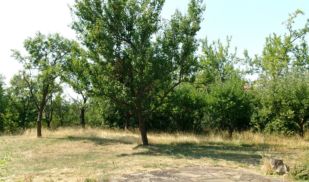 Prodej domu 130 m² s pozemkem 835 m², Vřesovice – náhled fotky 16