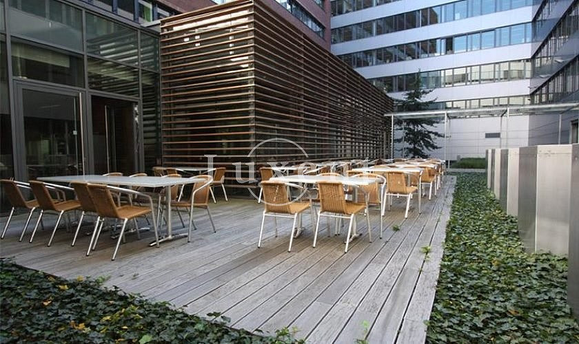 Pronájem kanceláře 290 m² – fotografie 4