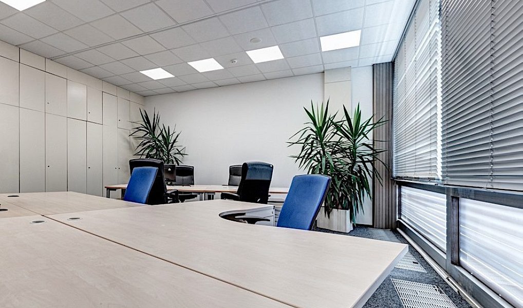 Pronájem obchodních prostor 653 m², Praha – náhled fotky 4