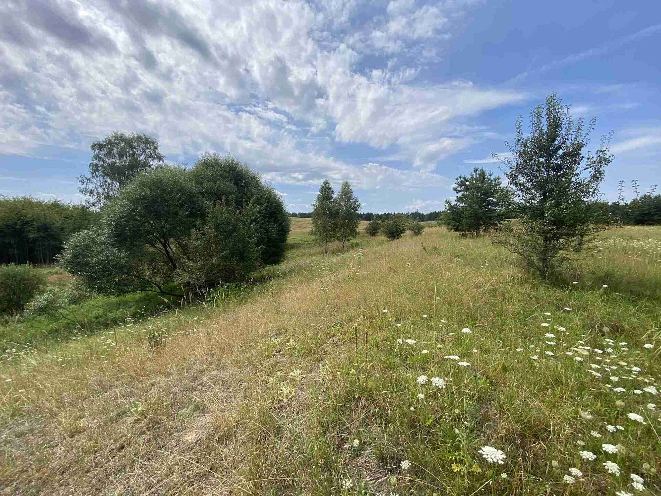 Prodej pozemku 6 986 m² – fotografie 2