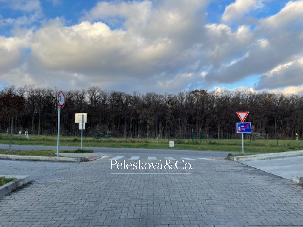 Fotka 9 z 12