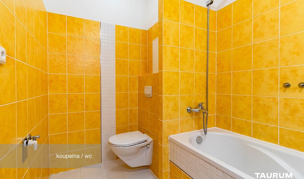 Prodej bytu 3+kk 69 m², Plzeň – náhled fotky 11