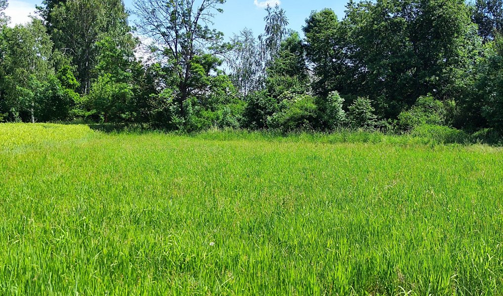 Prodej stavebního pozemku 1 655 m², Bílá Lhota – náhled fotky 8