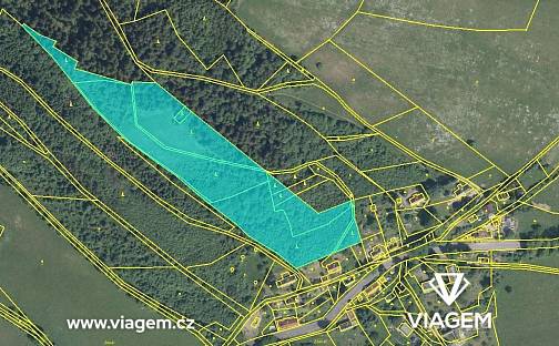 Prodej lesa 26 631 m², Hodkovice nad Mohelkou, okres Liberec