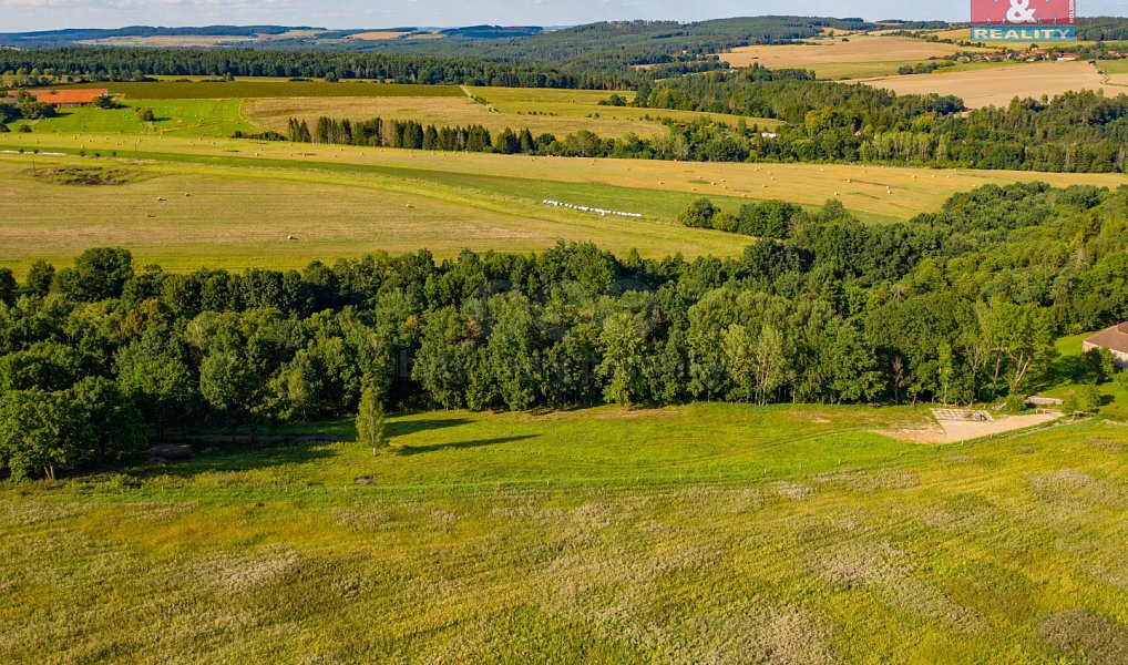 Prodej louky 6 183 m², Albrechtice nad Vltavou – náhled fotky 8