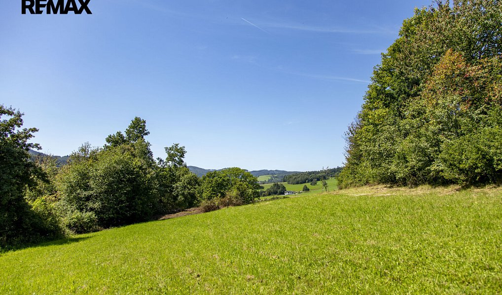 Prodej stavebního pozemku 4 479 m², Mikulůvka – náhled fotky 4