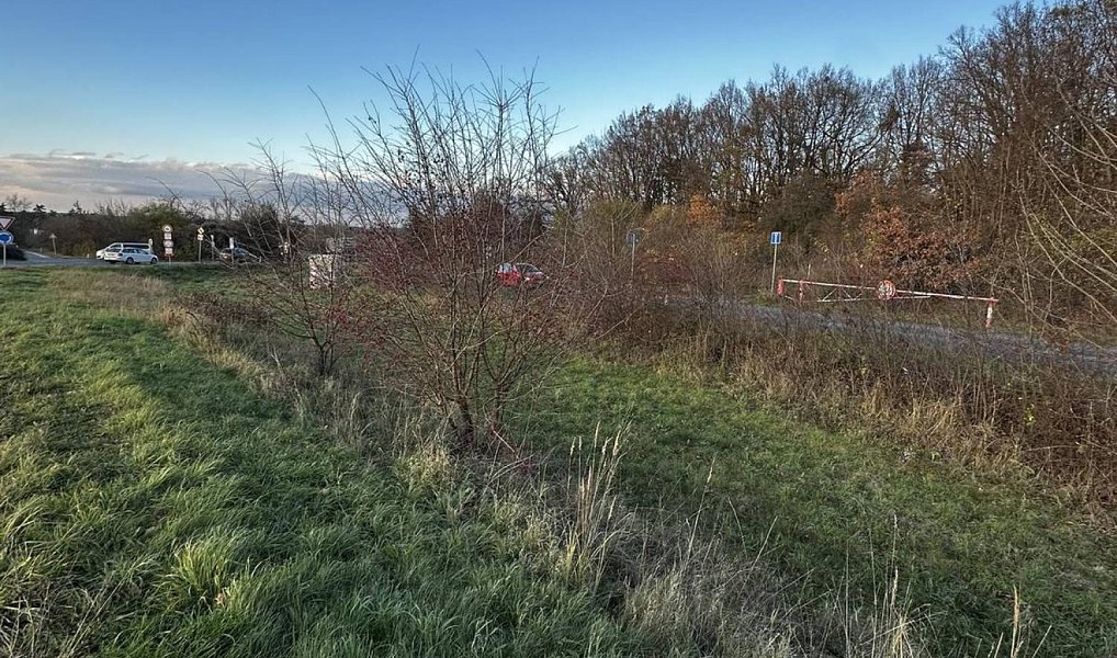 Prodej zahrady 4 381 m², Veltrusy – náhled fotky 6