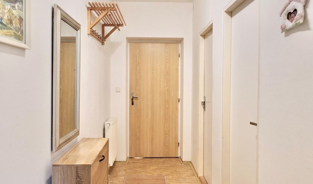 Pronájem bytu 1+kk 38 m², Bystřice pod Hostýnem – náhled fotky 7