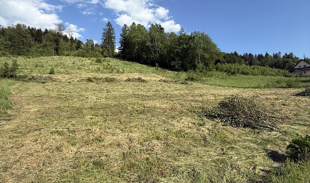 Prodej stavebního pozemku 2 493 m², Ratiboř – náhled fotky 11
