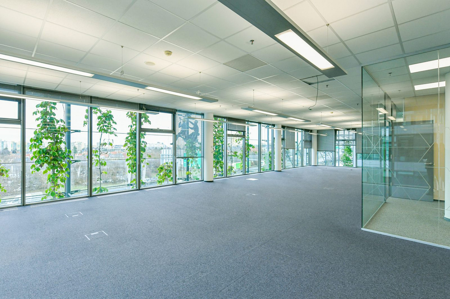Pronájem kanceláře 1 470 m² – fotografie 3