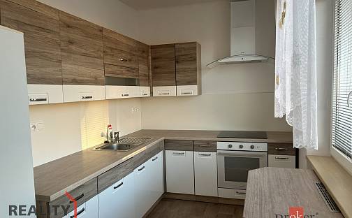 Pronájem bytu 2+1 54 m², Rychtaříkova, Plzeň - Východní Předměstí
