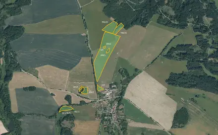 Prodej pole 104 443 m², Planá - Otín, okres Tachov