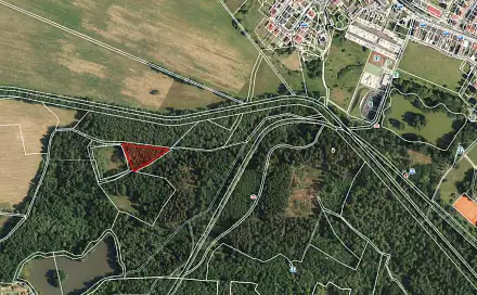 Prodej lesa 2 956 m², Jezerní, Františkovy Lázně, okres Cheb
