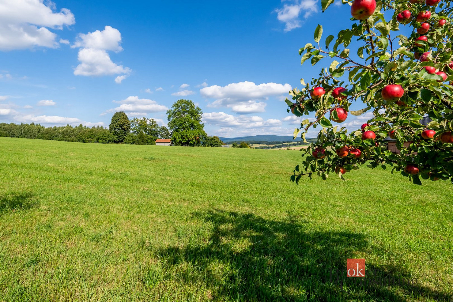 Prodej louky 7 126 m² - Widok 5