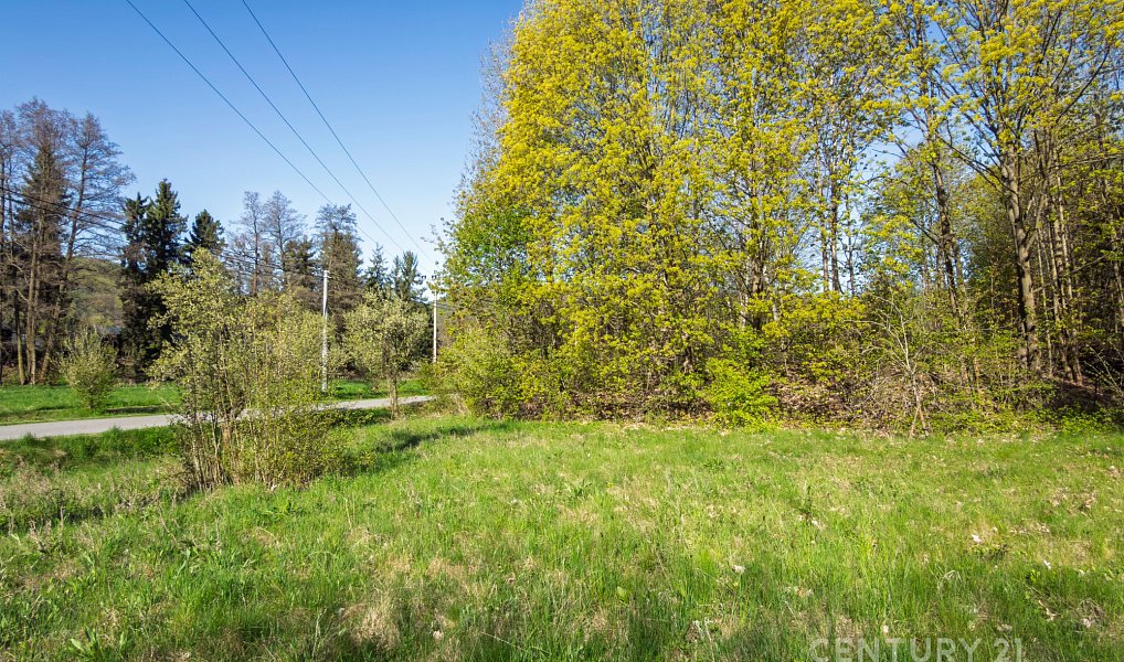 Prodej zahrady 1 699 m², Jakubčovice nad Odrou – náhled fotky 6