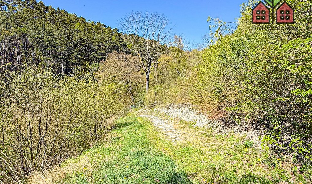 Prodej zahrady 4 999 m², Žitenice – náhled fotky 15
