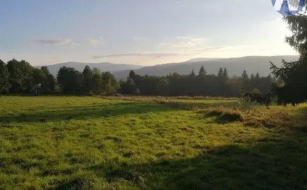 Prodej pozemku 14 303 m², Želnava, okres Prachatice