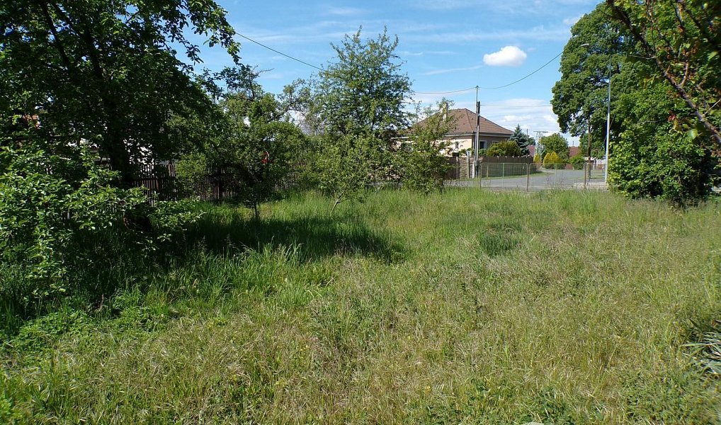 Prodej domu 120 m² s pozemkem 1 421 m², Svatý Mikuláš – náhled fotky 29