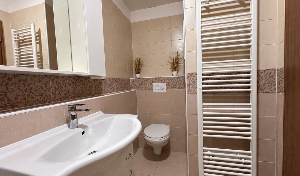 Pronájem bytu 2+kk 51 m², Plzeň – náhled fotky 9