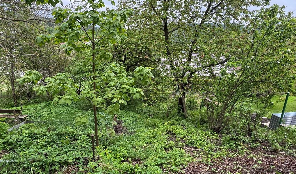 Prodej domu 250 m² s pozemkem 744 m², Hodkovice nad Mohelkou – náhled fotky 7