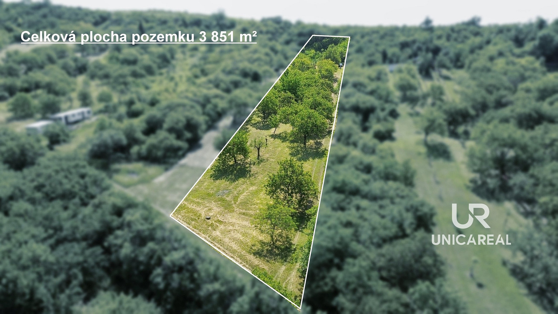 Prodej pole 3 851 m² – fotografie 5