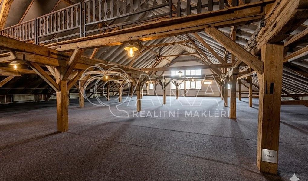 Prodej výrobních prostor 9 000 m², Stod – náhled fotky 6