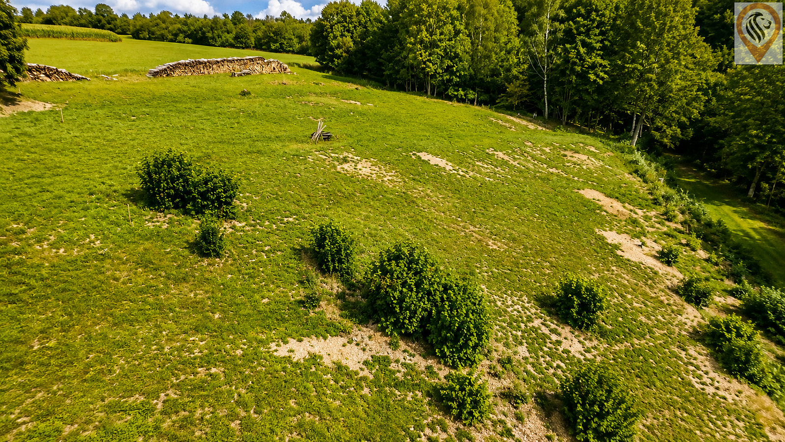 Prodej stavebního pozemku 1 007 m² – fotografie 3
