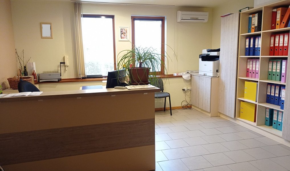 Prodej výrobních prostor 4 954 m², Mikulov – náhled fotky 12
