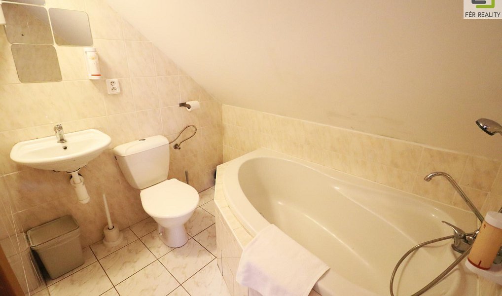 Prodej ubytovacího objektu 607 m², Vědomice – náhled fotky 6