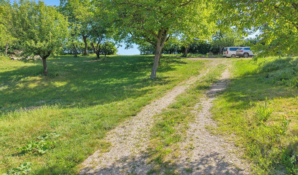Prodej zahrady 8 945 m², Olešnice – náhled fotky 10