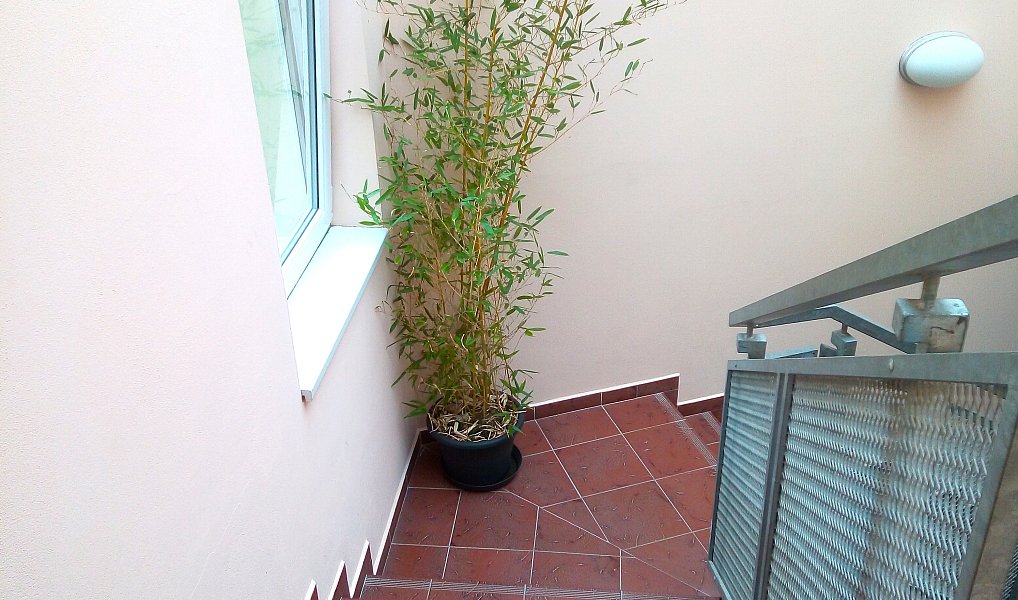 Prodej bytu 2+kk 63 m², Praha – náhled fotky 15