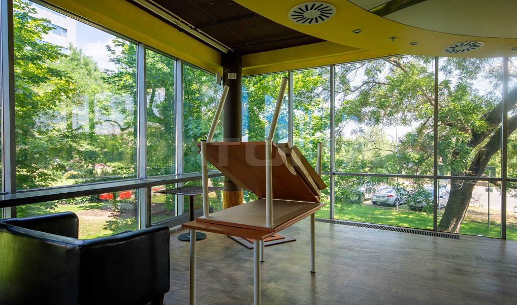 Pronájem obchodních prostor 291 m², Praha – náhled fotky 6
