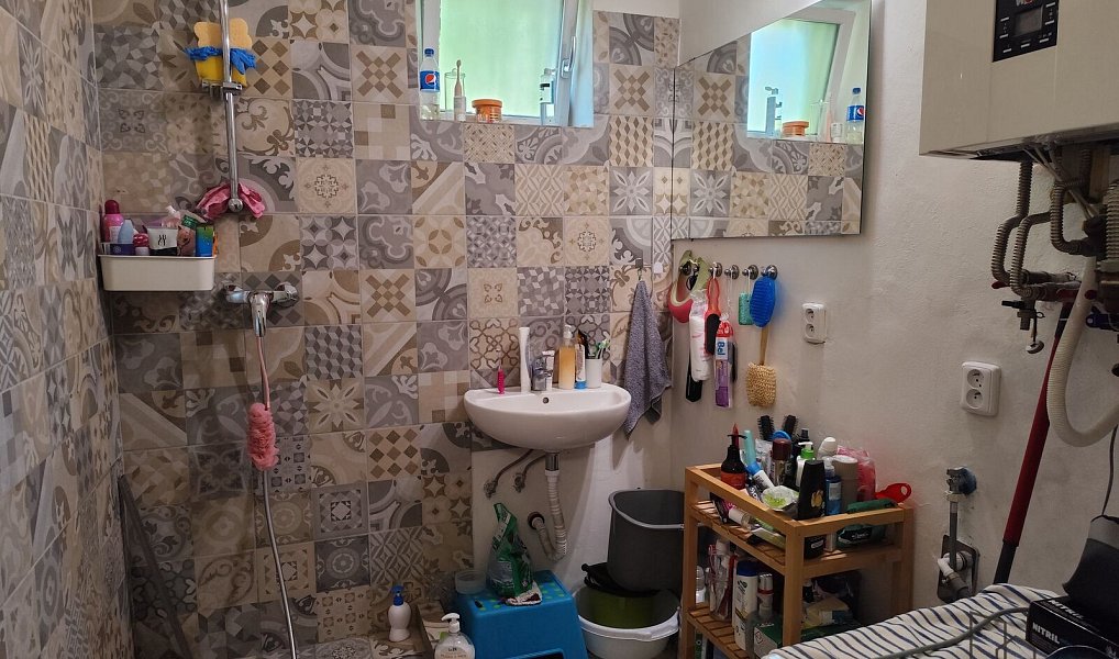 Prodej domu 395 m² s pozemkem 390 m², Brno – náhled fotky 7