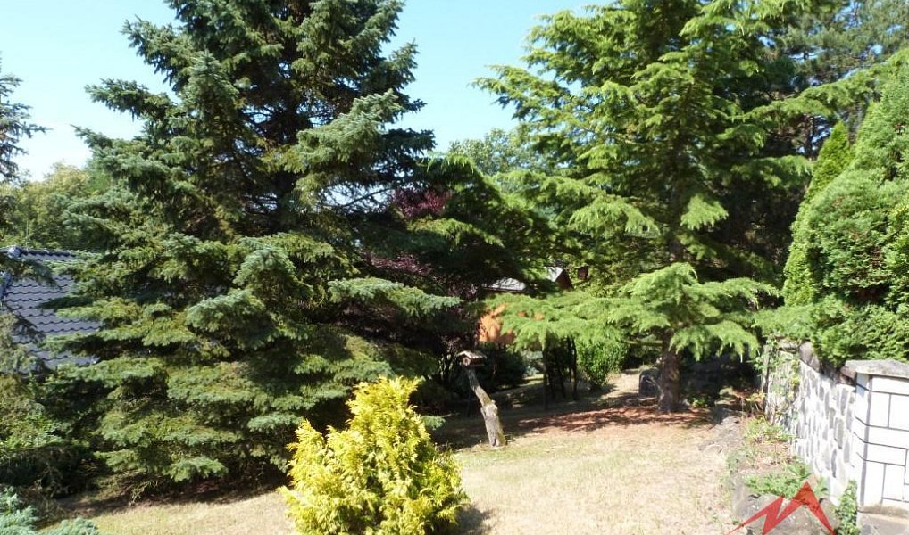 Prodej chaty/chalupy 50 m² s pozemkem 1 362 m², Ústí nad Labem – náhled fotky 8