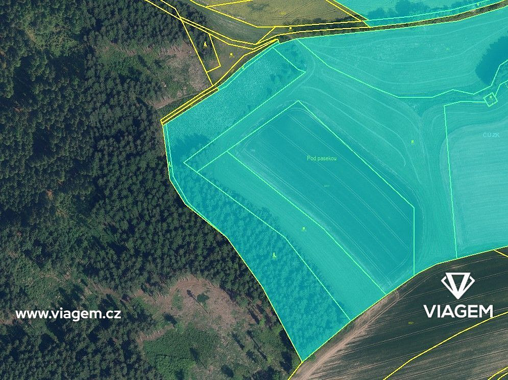 Prodej lesa 3 898 m² – fotografie 3