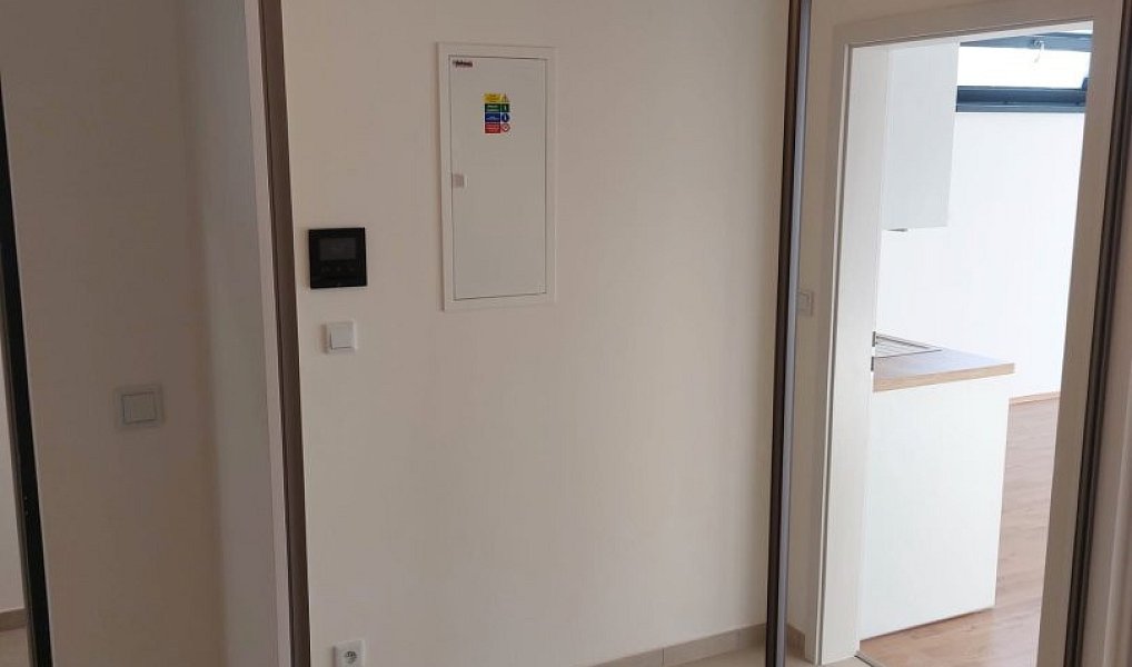 Prodej bytu 1+kk 46 m², Plzeň – náhled fotky 11