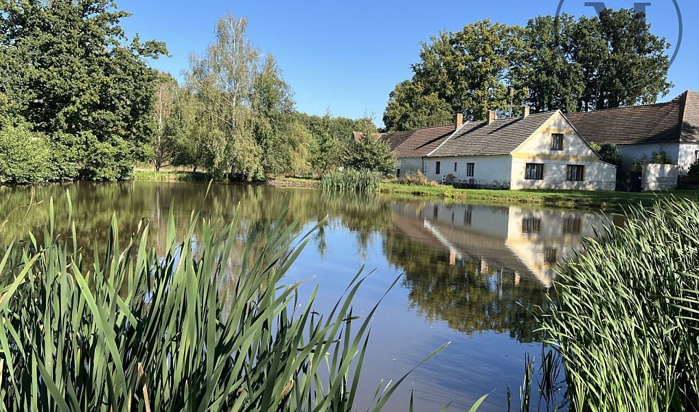 Prodej chaty/chalupy 460 m² s pozemkem 2 427 m², Lišov – náhled fotky 11