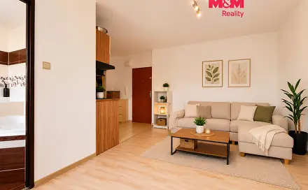 Pronájem bytu 1+kk 28 m², Petra Křičky, Ostrava - Moravská Ostrava