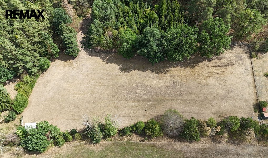 Prodej louky 5 943 m², Mičovice – náhled fotky 3