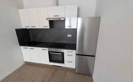 Pronájem bytu 2+kk 42 m², Františka Halase, Most