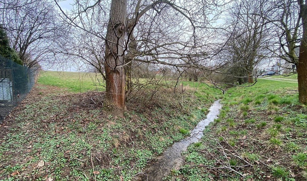 Prodej stavebního pozemku 2 341 m², Tršice – náhled fotky 3