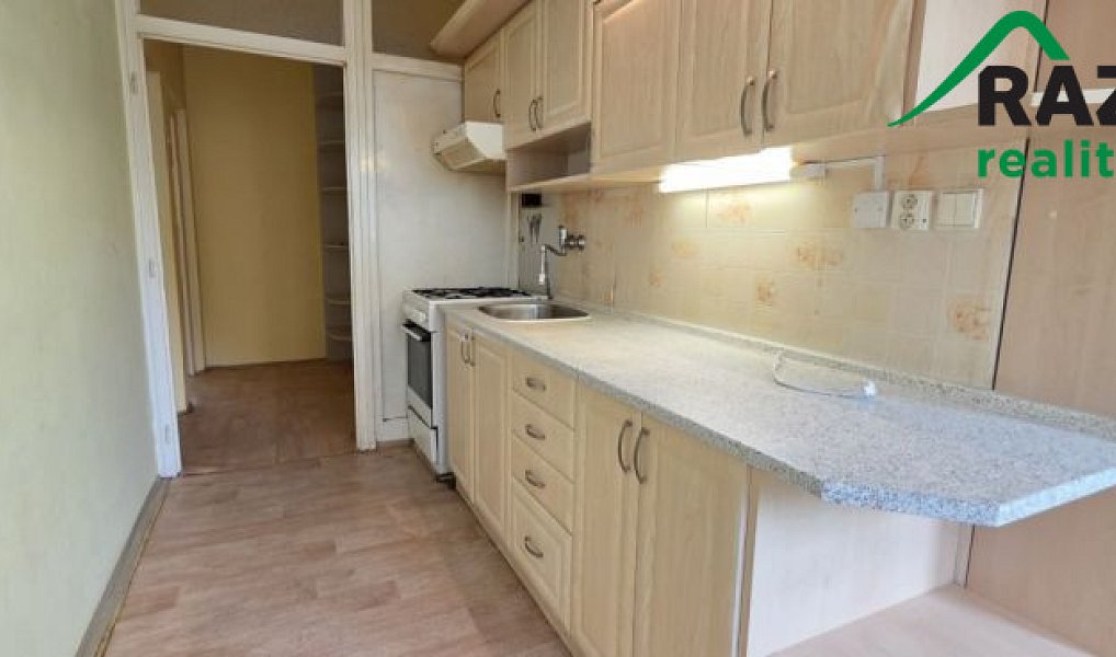 Prodej bytu 2+1 60 m², Planá – náhled fotky 2