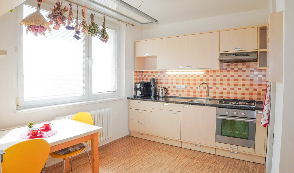 Pronájem bytu 1+1, 40 m², Královo Pole - Brno-město, Brno