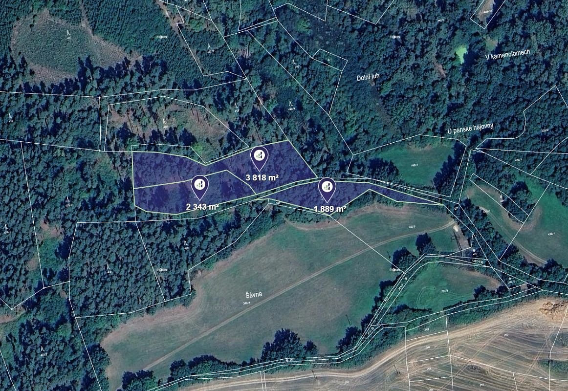Prodej lesa 10 026 m² – fotografie 2