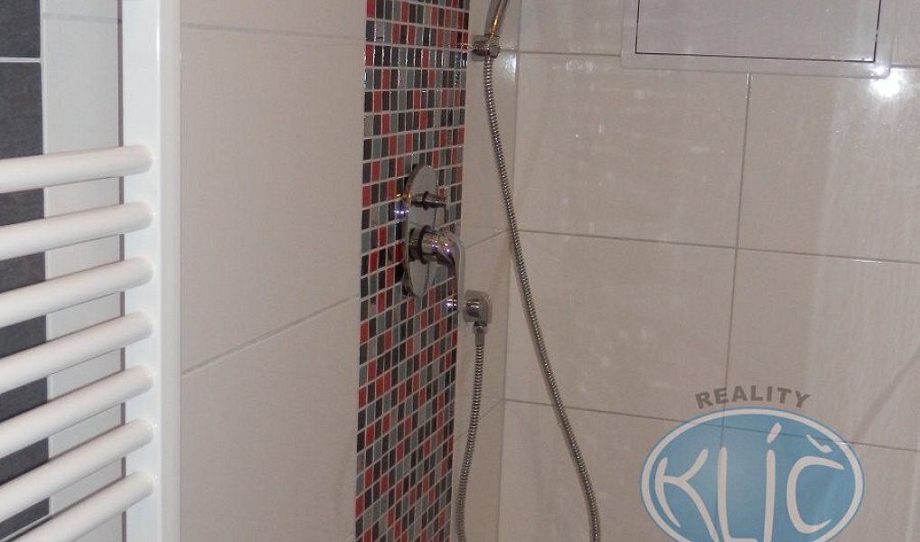Pronájem bytu 1+kk 24 m², Tábor – náhled fotky 5